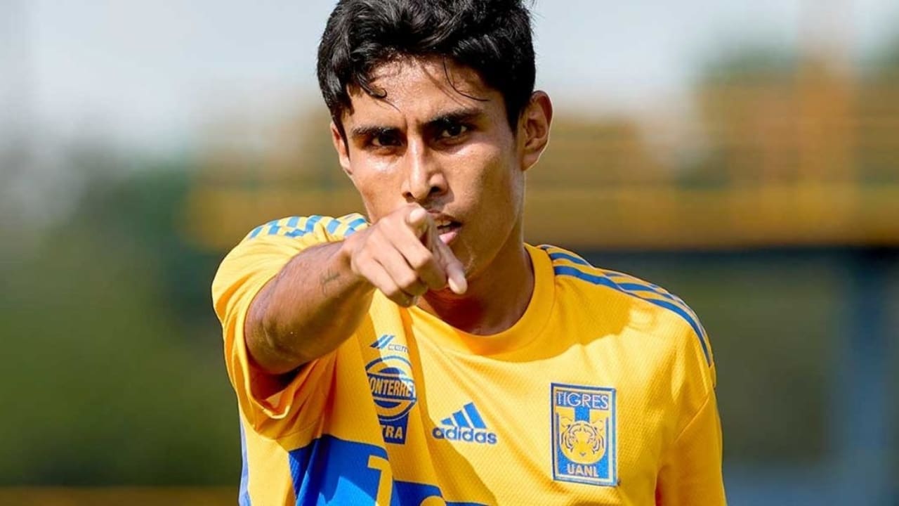 Fernando González Net Worth Details Fernando González Net Worth Details