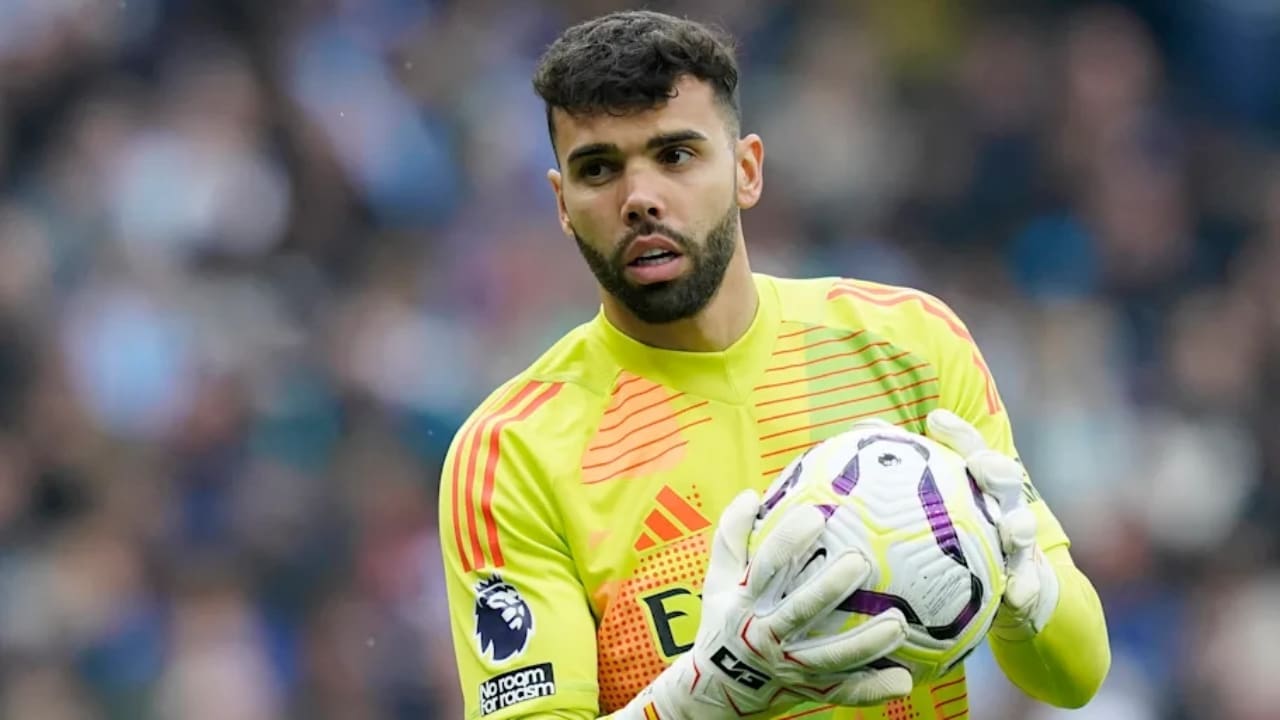 David Raya's Net Worth Details