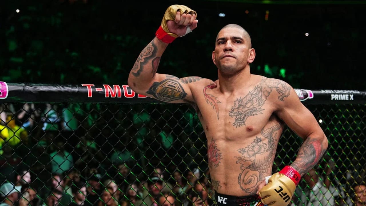Alex Pereira Net Worth Details Alex Pereira Net Worth Details