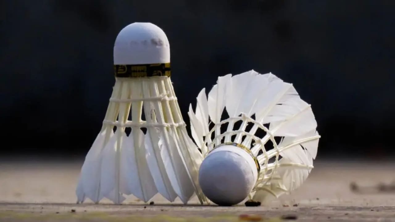 What is the Badminton Ball Called What is the Badminton Ball Called
