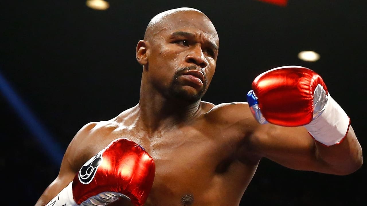 What Boxing Gloves Do Pros Use What Boxing Gloves Do Pros Use