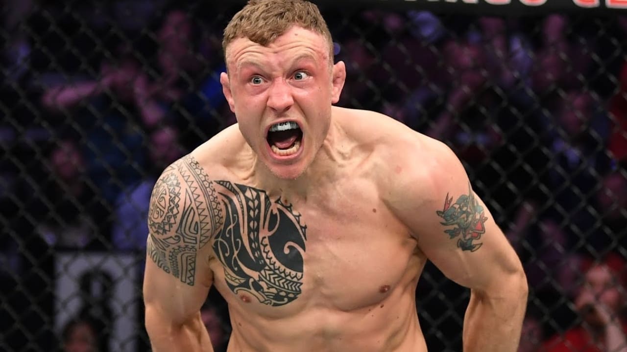 Jack Hermansson Net Worth Details Jack Hermansson Net Worth Details
