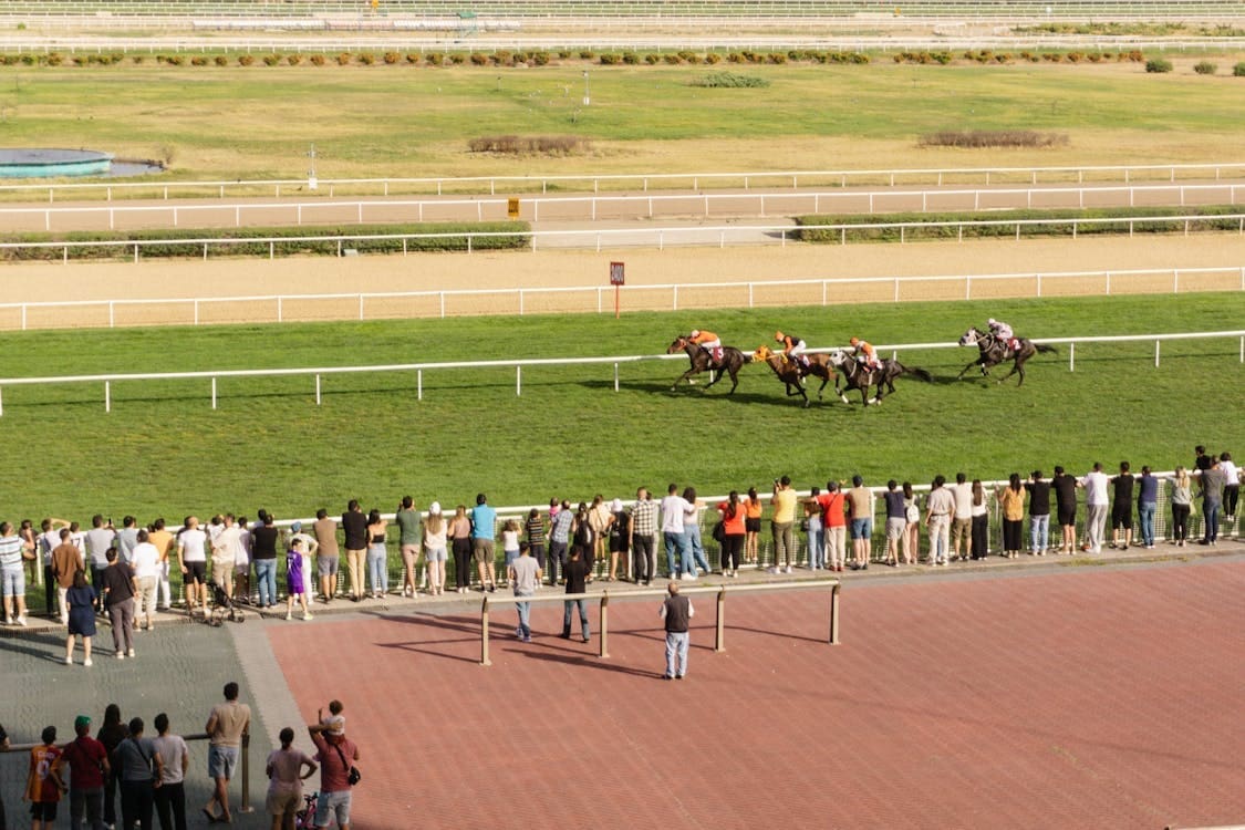 Horse Racing Horse Racing
