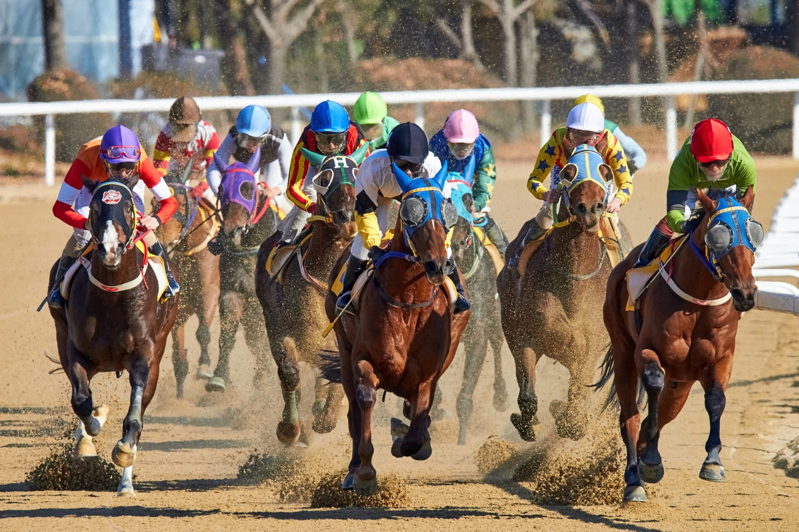 Horse Racing Horse Racing