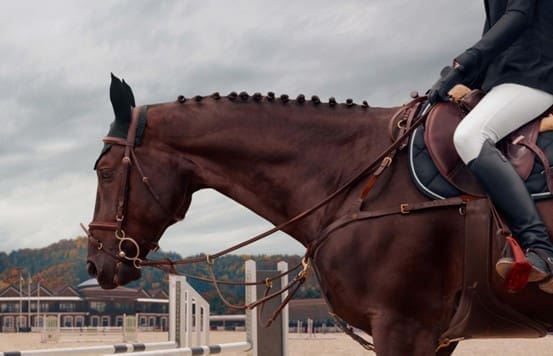 Horse Racing’s Biggest Shock Wins Horse Racing’s Biggest Shock Wins